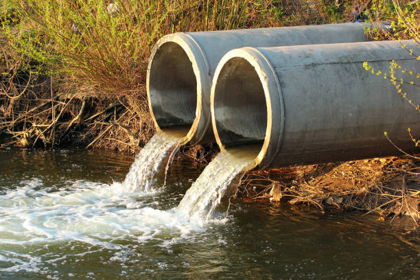 The City of Thirsts: Environmental Crisis in Our Backyard